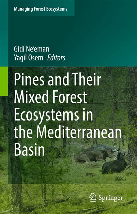 Mycorrhizae in Mediterranean Pine and Mixed Forests