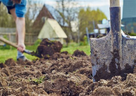 Mykorrhiza-Dünger: Eigenschaften & Anwendung - Plantura