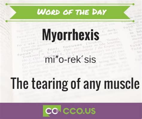Myorrhexis medical terminology. Definition of myorrhexis in the Medical Dictionary with The Free Dictionary 