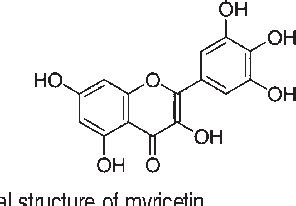 Myricetin suppresses invasion and promotes cell death in human ...