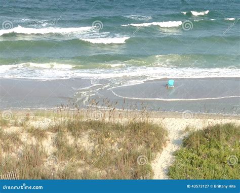 Myrtle beach high tide. US states along the Gulf of Mexico are already struggling with a toxic algae bloom killing marine life. The coming hurricane could make things worse. There’s usually not even a sli... 