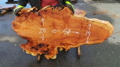 Myrtlewood Burl Slabs - Redwood Salvage Sales