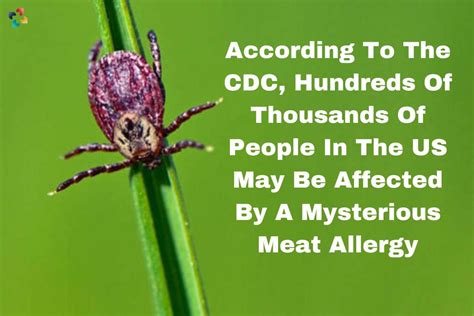 Mysterious meat allergy passed by ticks may affect hundreds of thousands in US, CDC estimates