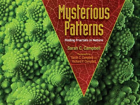 Read Mysterious Patterns Finding Fractals In Nature By Sarah C Campbell