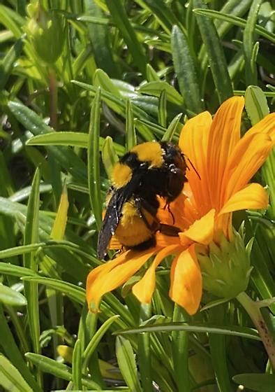 Mystery.Bee Leaked [SEX VIDEO] 🍆 65 Photos