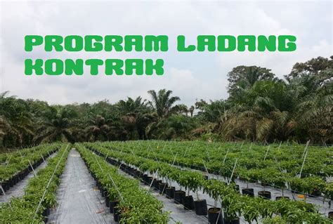 Mytaniaga: Program Ladang Kontrak - Blogger