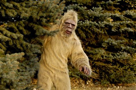 Myth or reality? Bigfoot sightings reported in Colorado 130 times over past century