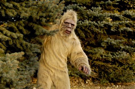 Myth or reality? Bigfoot sightings tracked over past century