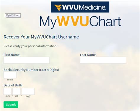 MyWVUChart; WVU Medicine App; Pay Your Bill; Financial Assistance; Price Transparency – Standard Charges; Provider-based Clinics; Visitation Guidelines; FindHelp; Health Library. 
