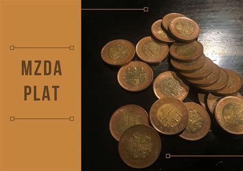 Mzda a plat