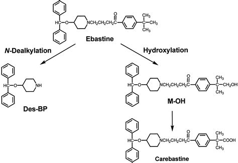 N dealkylation mechanism. Hydroxynorfentanyl was identified as a minor, secondary metabolite arising from N-dealkylation of hydroxyfentanyl. Liver microsomal norfentanyl formation was significantly inhibited by the mechanism-based P450 3A4 inhibitor troleandomycin and the P450 3A4 substrate and competitive inhibitor midazolam, and was significantly correlated with P450 ... 
