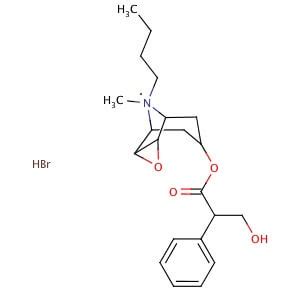 N-Butylscopolammonium Bromide - SCBT