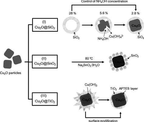 N-Oxide - an overview ScienceDirect Topics