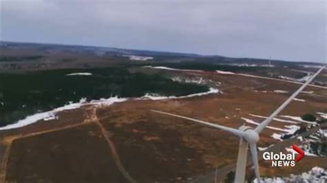 N.S. approves wind farm, but federal officials worry project would kill at-risk birds