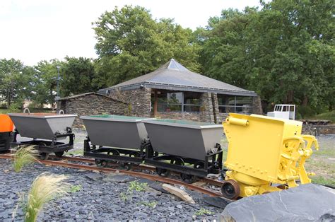 N6Ihpcb7G: The History and Evolution of the Game of Fetch image 1