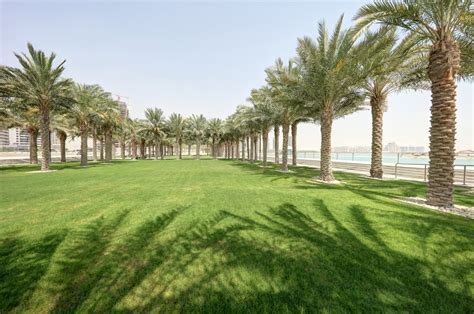 Nakheel Landscapes for Agriculture & Trading in Qatar - wintechmobiles.com