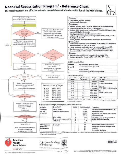 NALS – Neonatal Resuscitation Algorithm (NALS) MedTx