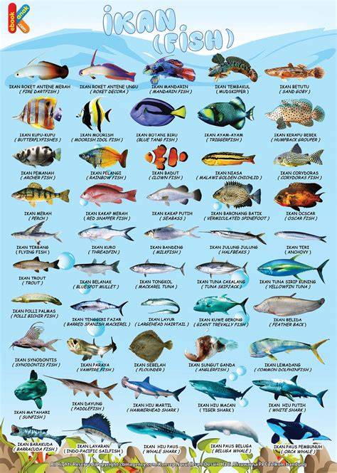 Nama-nama Ikan dalam Bahasa Inggris - raincitystudios.com