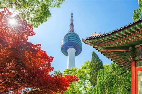 NAMSAN TOWER - tpsp.muszyna.pl