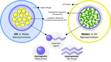 Nanoemulsions (O/W) prepared from essential oil extracted from ... - raincitystudios.com