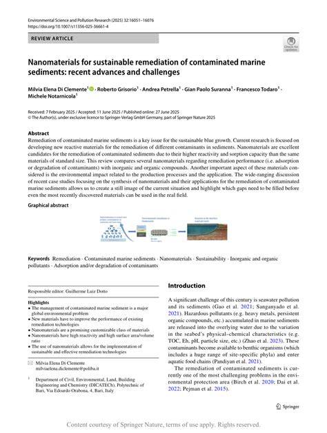 Nanomaterials for sustainable remediation of contaminated marine ... - raincitystudios.com