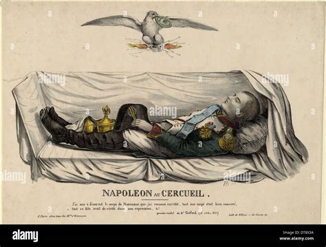 Napoleon Coffin Xray - wintechmobiles.com