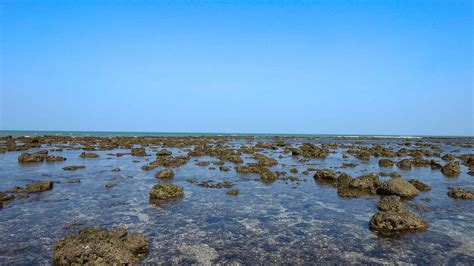 Narara Island Marine National Park How To Visit Low Tide ... - wintechmobiles.com