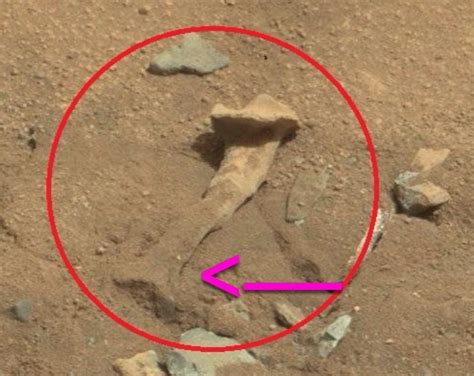 NASA Says A Thigh Bone Was Not Found on Mars