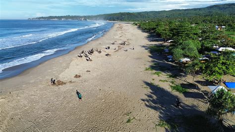 NASABAMEDIA pantai ML & kompatibilitas charging listrik langkah awal Pose seksi tema persahabatan payudara besar 190 desainer material daur image 1