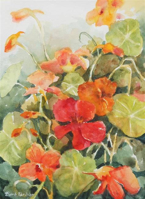 NASTURTIUMS by Barbara