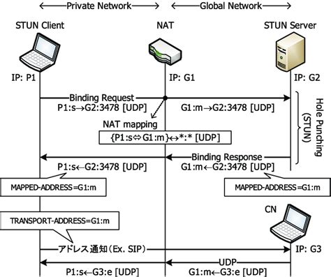 NAT Hole Punching in Computer Network - GeeksforGeeks