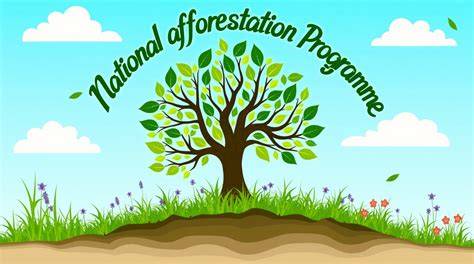 National Afforestation Programme - Press Information Bureau - raincitystudios.com