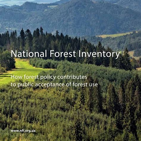 National Forest Inventories and Global Resource Assessments - raincitystudios.com