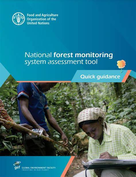 National forest monitoring - UNREDD Programme - raincitystudios.com