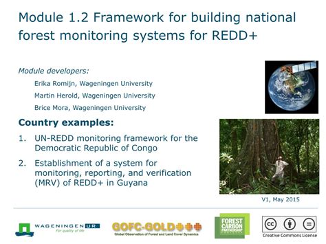 National forest monitoring system / REDD+ - UNFCCC - raincitystudios.com