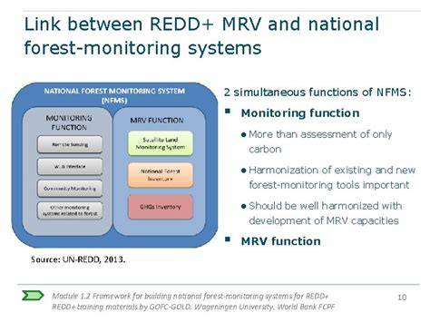 National Forest Monitoring Systems | REDD+ Reducing Emissions … - raincitystudios.com
