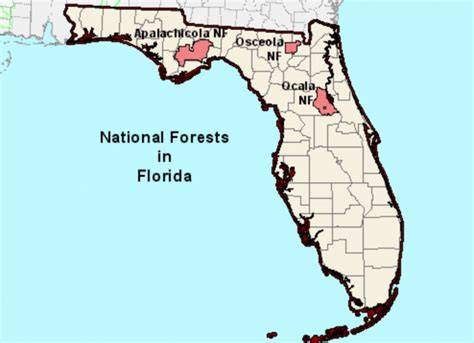 National Forests in Florida | Recreation | Forest Service - raincitystudios.com