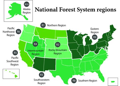 National Forests Information System - raincitystudios.com