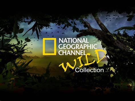 National Geographic WILD - Equator's Wild Secrets - raincitystudios.com