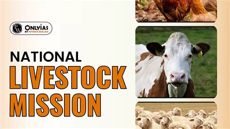 National Livestock Mission - EDEG - NABARD - National Bank For ... - coolestguyplanet.net