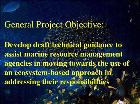 National Marine Fisheries Service’s DRAFT Technical Guidance for ... - raincitystudios.com