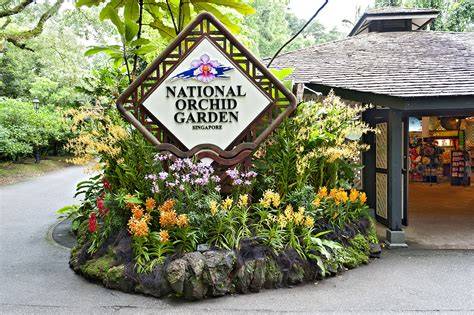 National Orchid Garden - National Parks Board - raincitystudios.com