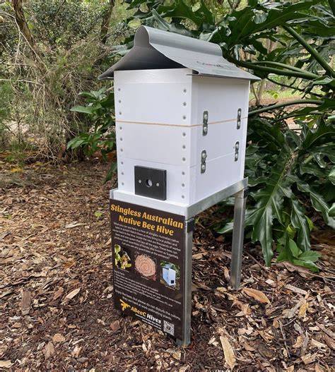 Native Bee Hives - raincitystudios.com