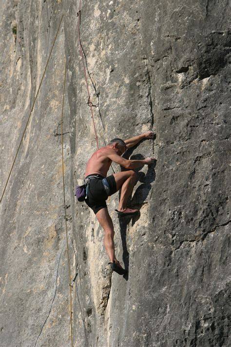 Native Climbers - Gardening Australia - raincitystudios.com