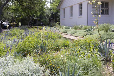 Native Landscape Installations | Prairie Restorations … - raincitystudios.com