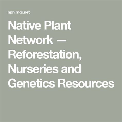Native Plant Network — Reforestation, Nurseries and Genetics - raincitystudios.com