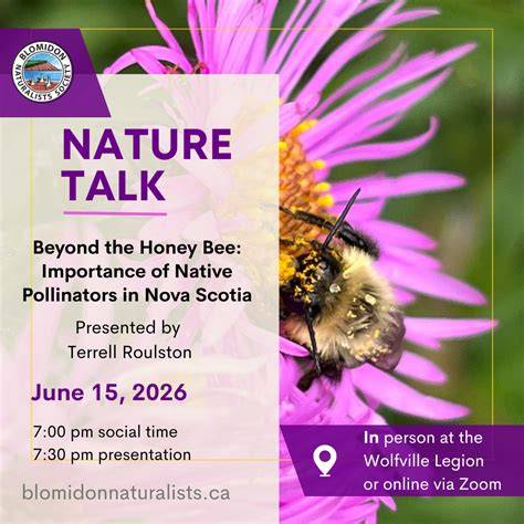 Native pollinators in Nepal:Their importance, threats, and conservation ... - raincitystudios.com