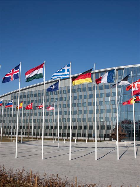 NATO’s Digital System Could Collapse Lacking Modification.