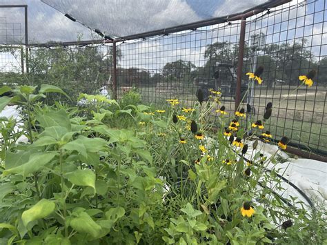 Natural Areas — Environmental Fund of Texas - raincitystudios.com
