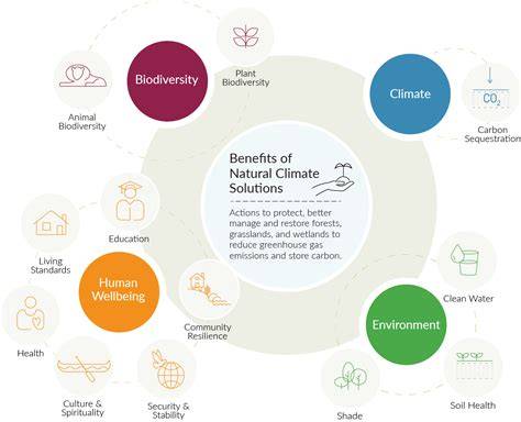 Natural climate solutions | PNAS - raincitystudios.com